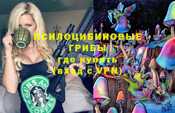 ECSTASY Алексеевка