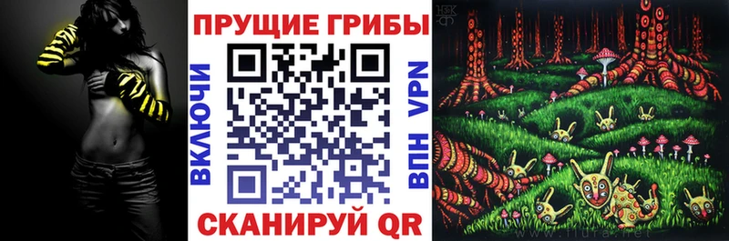 Галлюциногенные грибы мицелий  Томск 